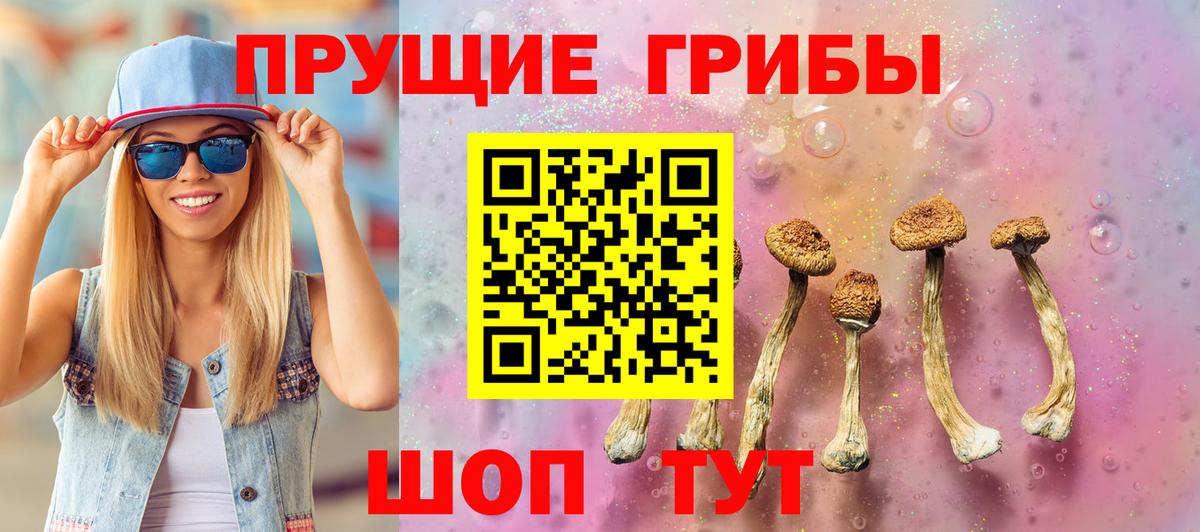 Галлюциногенные грибы прущие грибы Богородицк