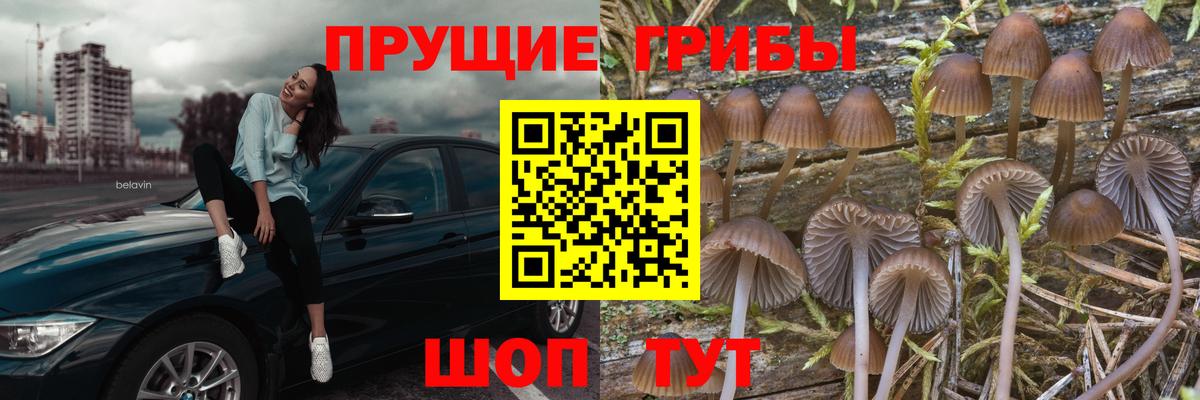 Галлюциногенные грибы Cubensis  дарнет шоп  Богородицк  Вход с VPN 