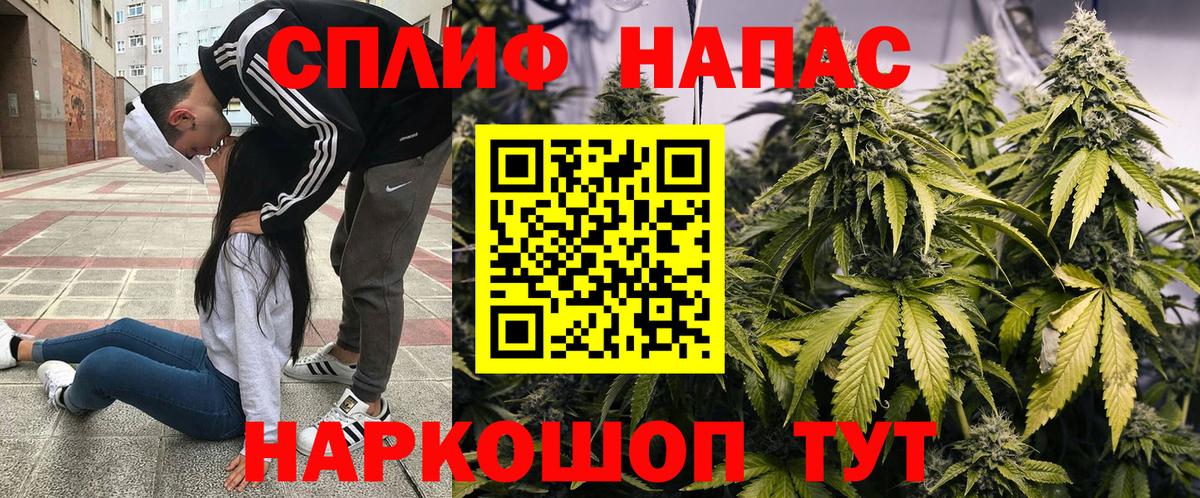 Конопля Ganja Богородицк